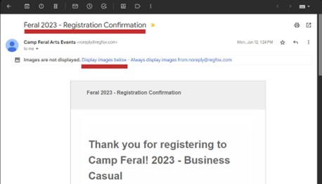 An example screenshot of a registration email with two areas highlighted: The first is the subject line which reads 