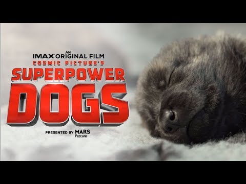 Superpower Dogs Official Trailer