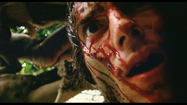 Cannibal holocaust (1980) dir. Ruggero Deodato