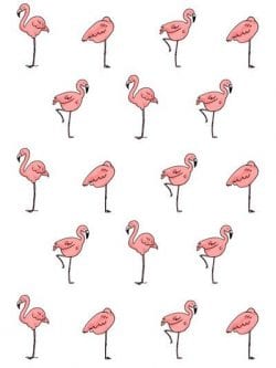 Patterns | flamingo pattern from heyyellowcattumblr.co