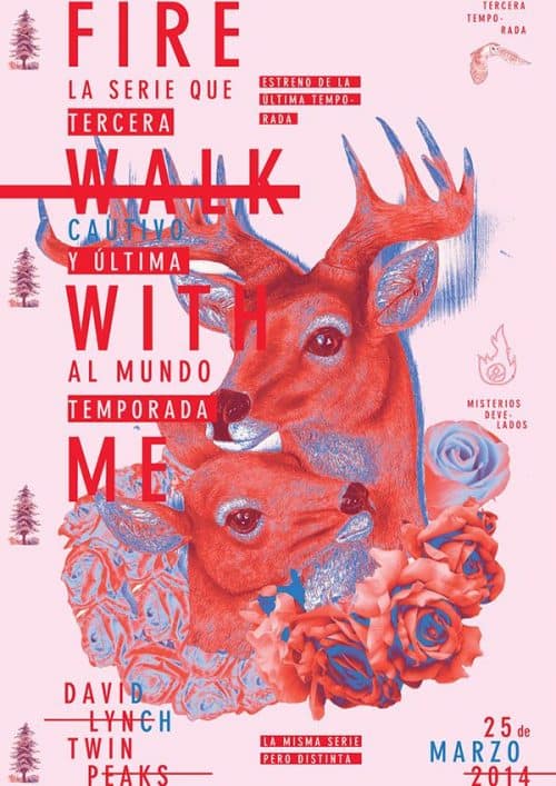 Graphic Design | Poster | AFICHE CONCURSO – Fuego Camin
