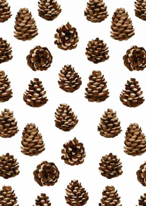 Patterns | Hand Painted Pinecone Pattern