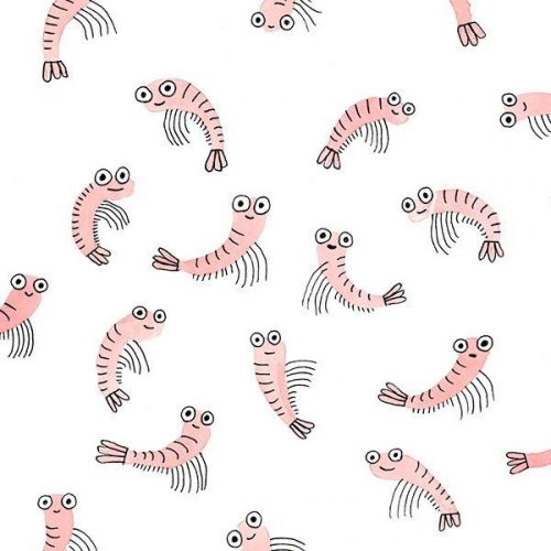 Patterns | Élise Gravel Art print – Crevettes – Sur ton mur – 1Pinne-