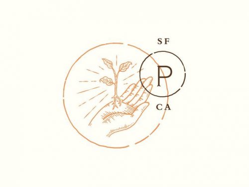 Logo | P – Monogram and logomark