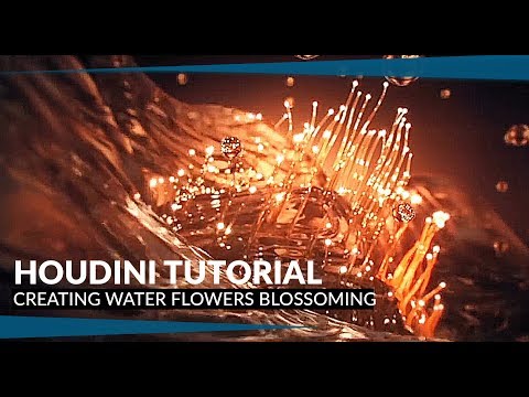 Creating water flower blossoming inside Houdini