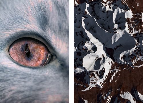 Al Mefer – These are the soul – Macro and Micro shots Juxtaposing Humans, Animals an ...