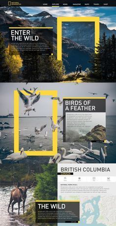 National Geographic | Enter The Wild | Web Design