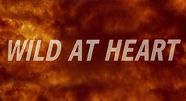 Wild at Heart Title Treatment