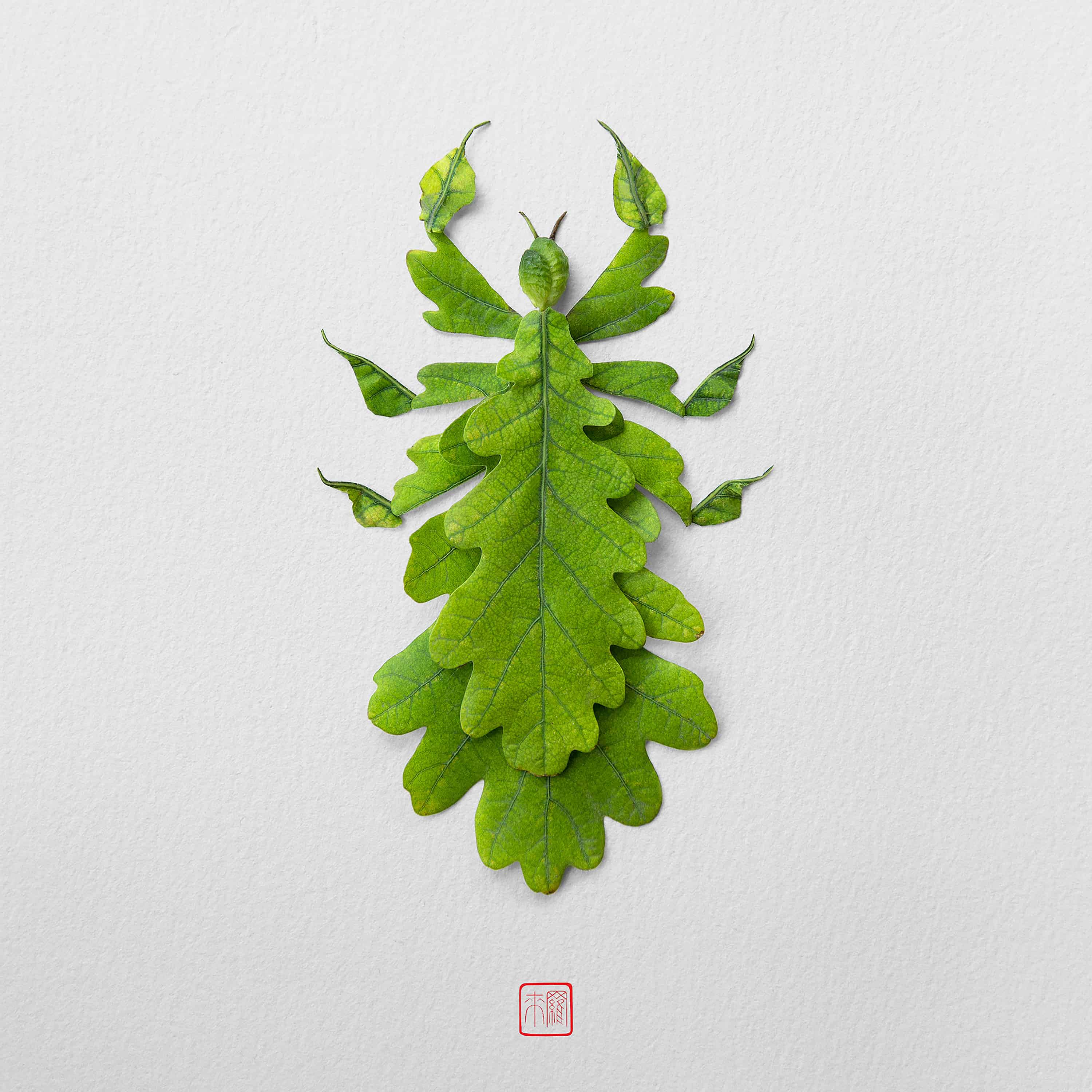 Raku Inoue – Japanese Inspired Floral Arrangement – Leaf Bug
