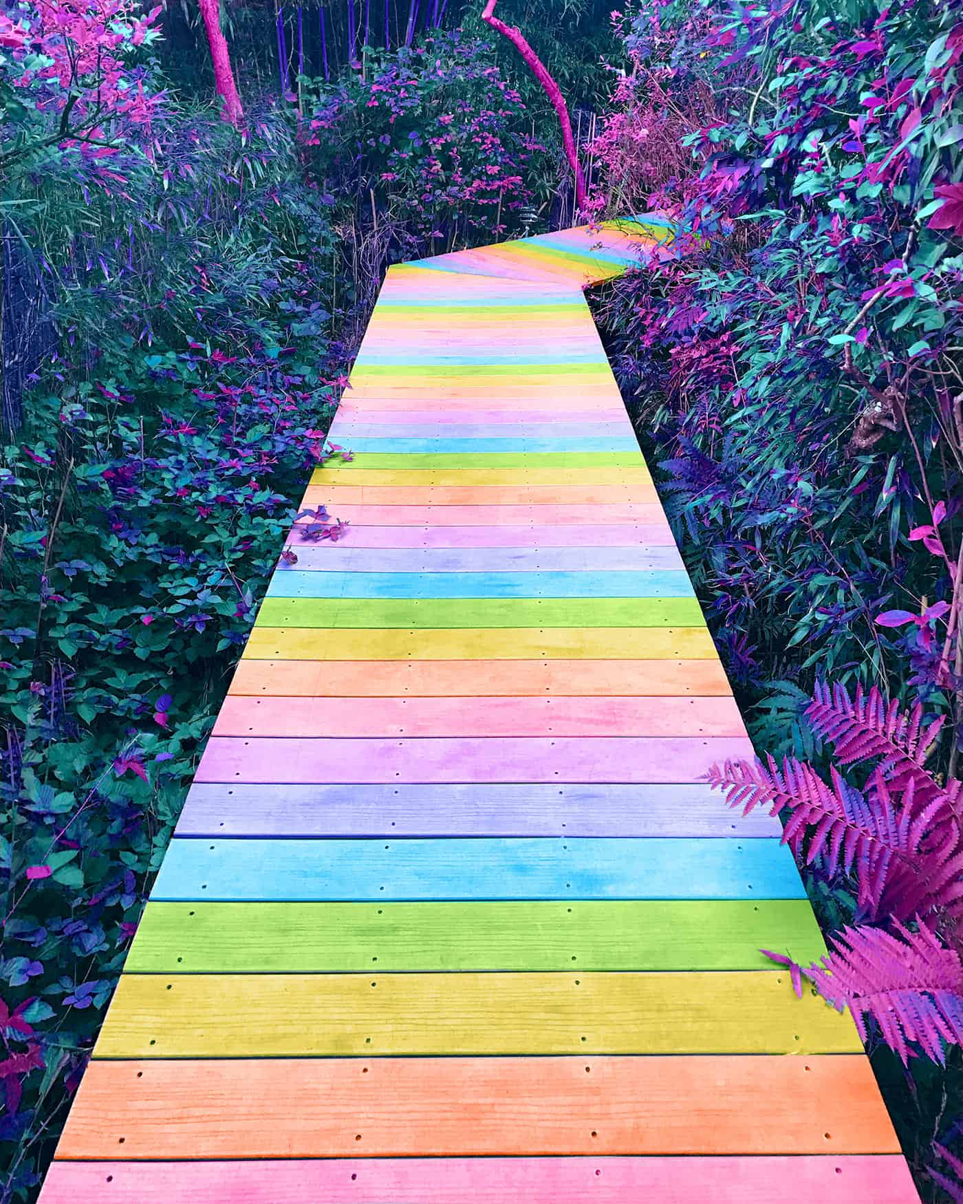 Ramzy Masri – Vibrant Rainbow Spectrum Edits – Wooden Path
