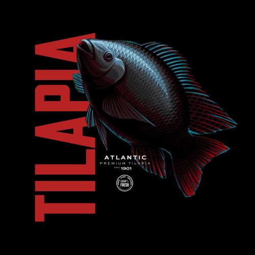 Atlantic Premium Fish Dark Minimal Poster Design – Tilapia