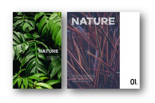 Batique Font Typeface – Indonesia Batik pattern Poster Design – Nature
