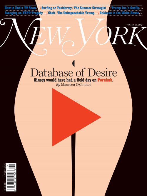 Novel Book Art Jacket Cover Design Story Editorial Magazine New York Database of Designer Porn P ...