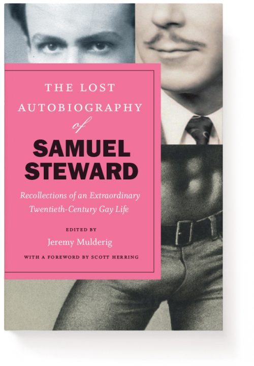 Novel Book Art Jacket Cover Design Story Editorial Magazine The Lost Autobiography of Samuel Ste ...