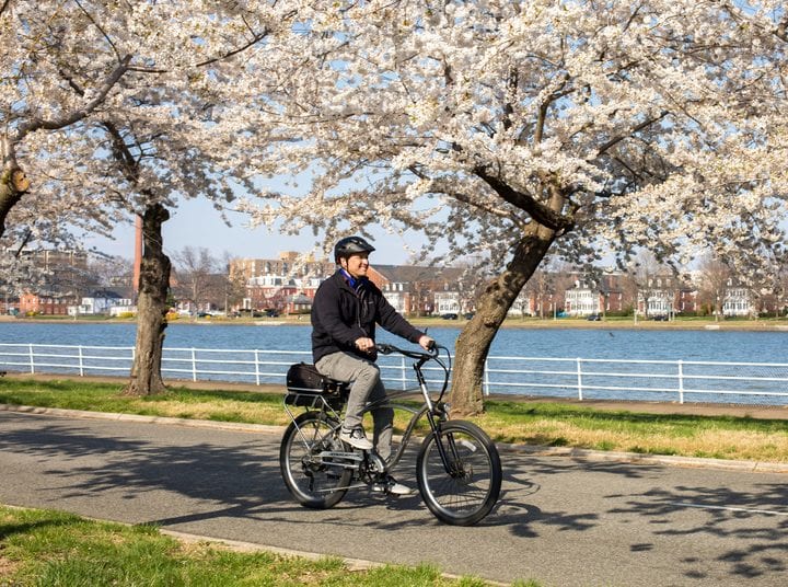 Celebrate Cherry Blossoms with Sakura Sunday at National Harbor on April 14  - The Southern Maryland Chronicle
