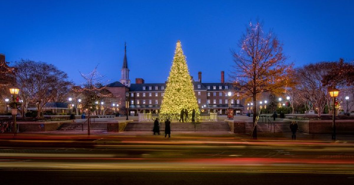 Alexandria's Tree Lighting Goes Virtual on Nov. 21