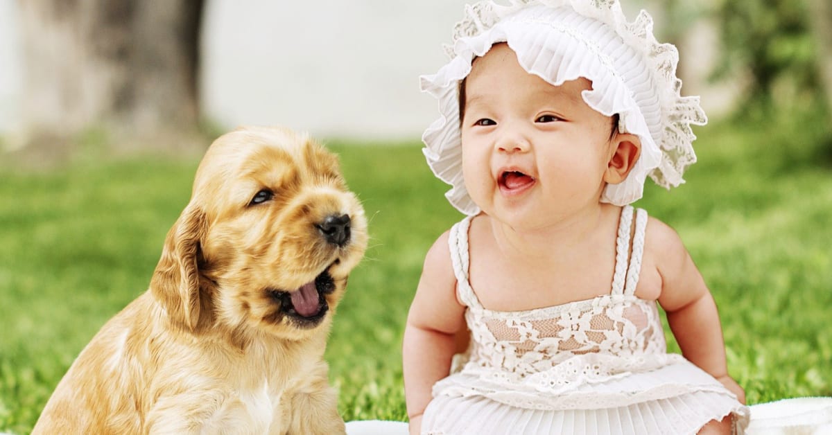 are dogs dangerous to newborn babies