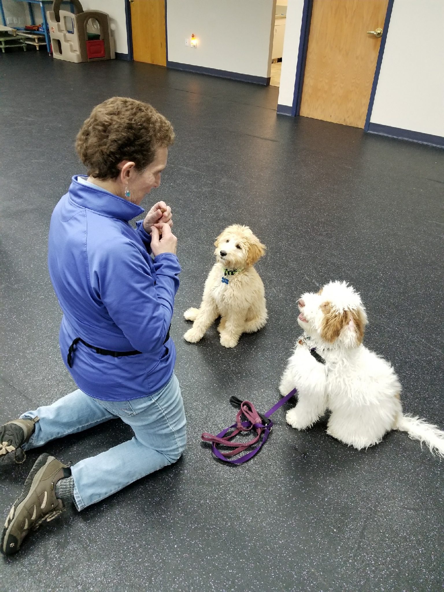 Dog Training Tips For A Well-Behaved Furry Friend by Ayoub