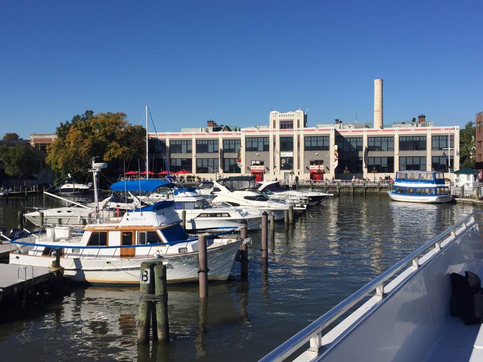 During the heavy rains and high tide of Friday, October 29, the access streets to the Torpedo Factory were flooded and shut off by law enforcement. The watrs were still high Saturday, October 30. No damage has been reported. (Photo: Rich Cheetham)