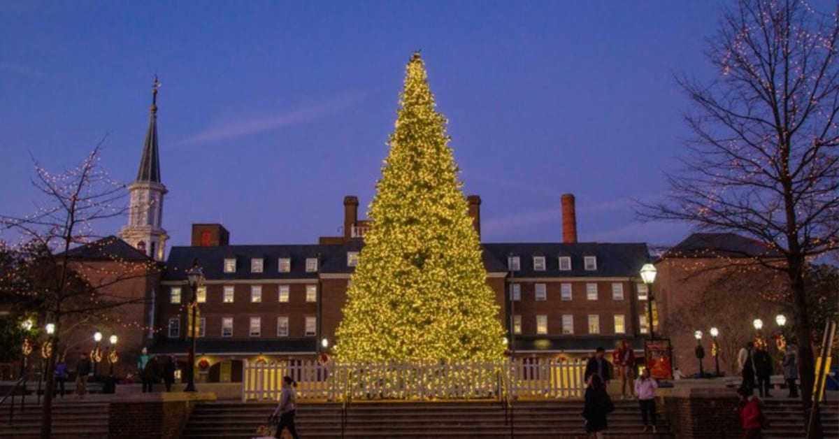 Free and Open to All Alexandria Tree Lighting Returns Nov. 20