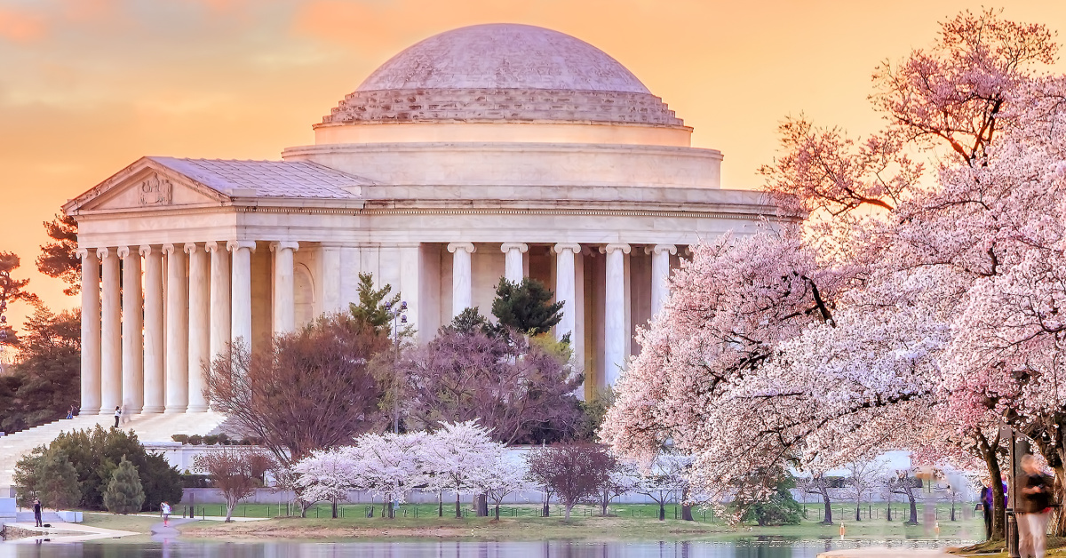 Washington's Iconic National Cherry Blossom Festivities Return, March 20 -  April 17, 2022 - The Zebra-Good News in Alexandria