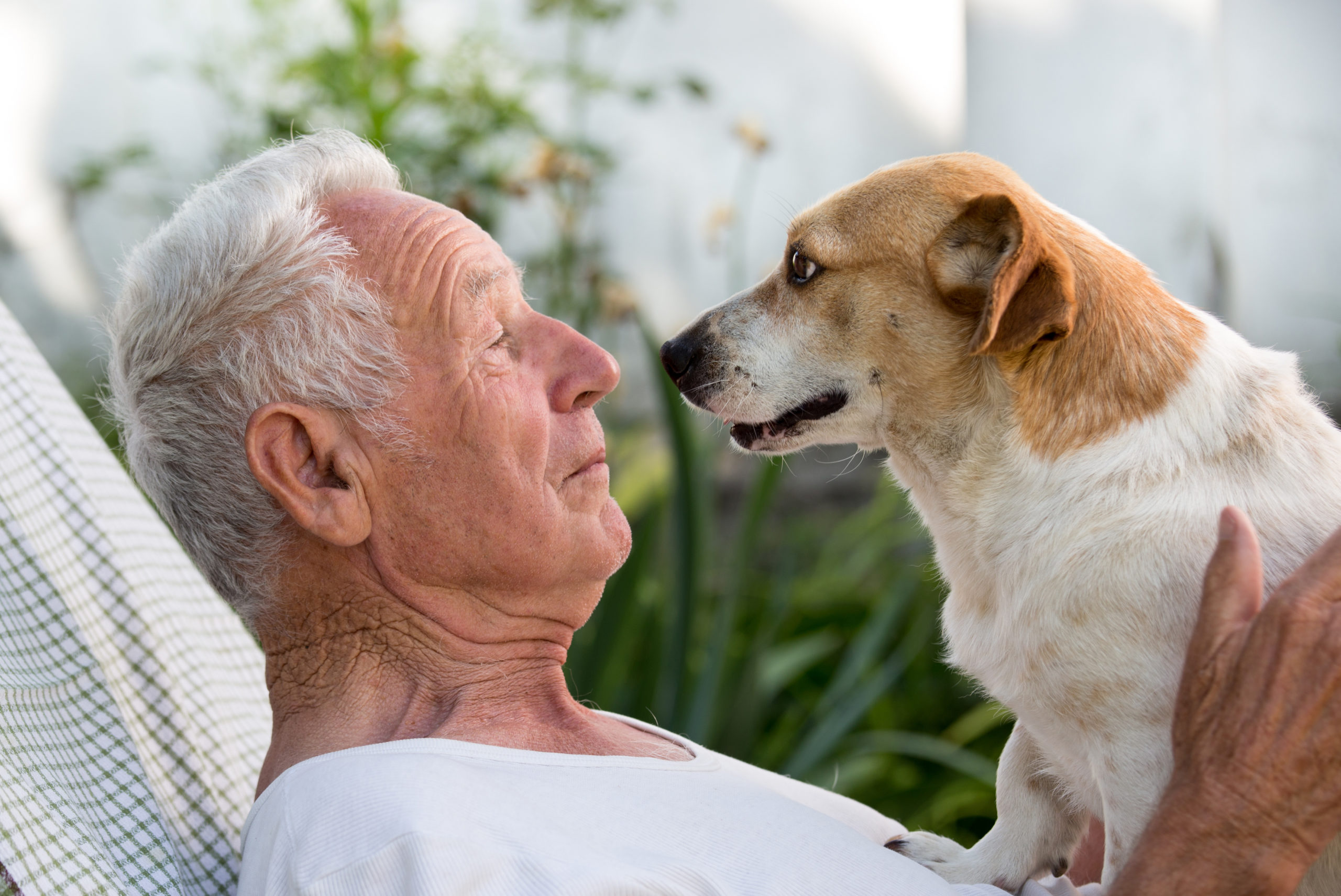 7 Ways Pets Can Help with Healthy Aging - The Zebra