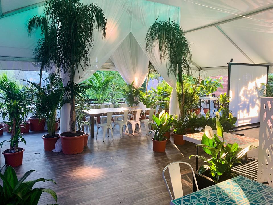 Lena’s Oasis, a covered pavilion with plenty of room for social distancing amid the curtains and tropical plants. (Photo: Lena's Facebook)