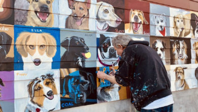 Man paints dog portraits on wall.