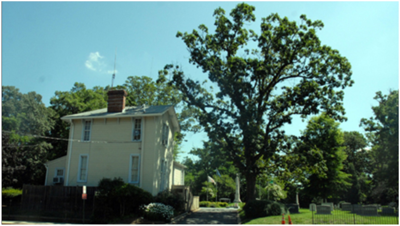 Antebellum home next to a tall tree