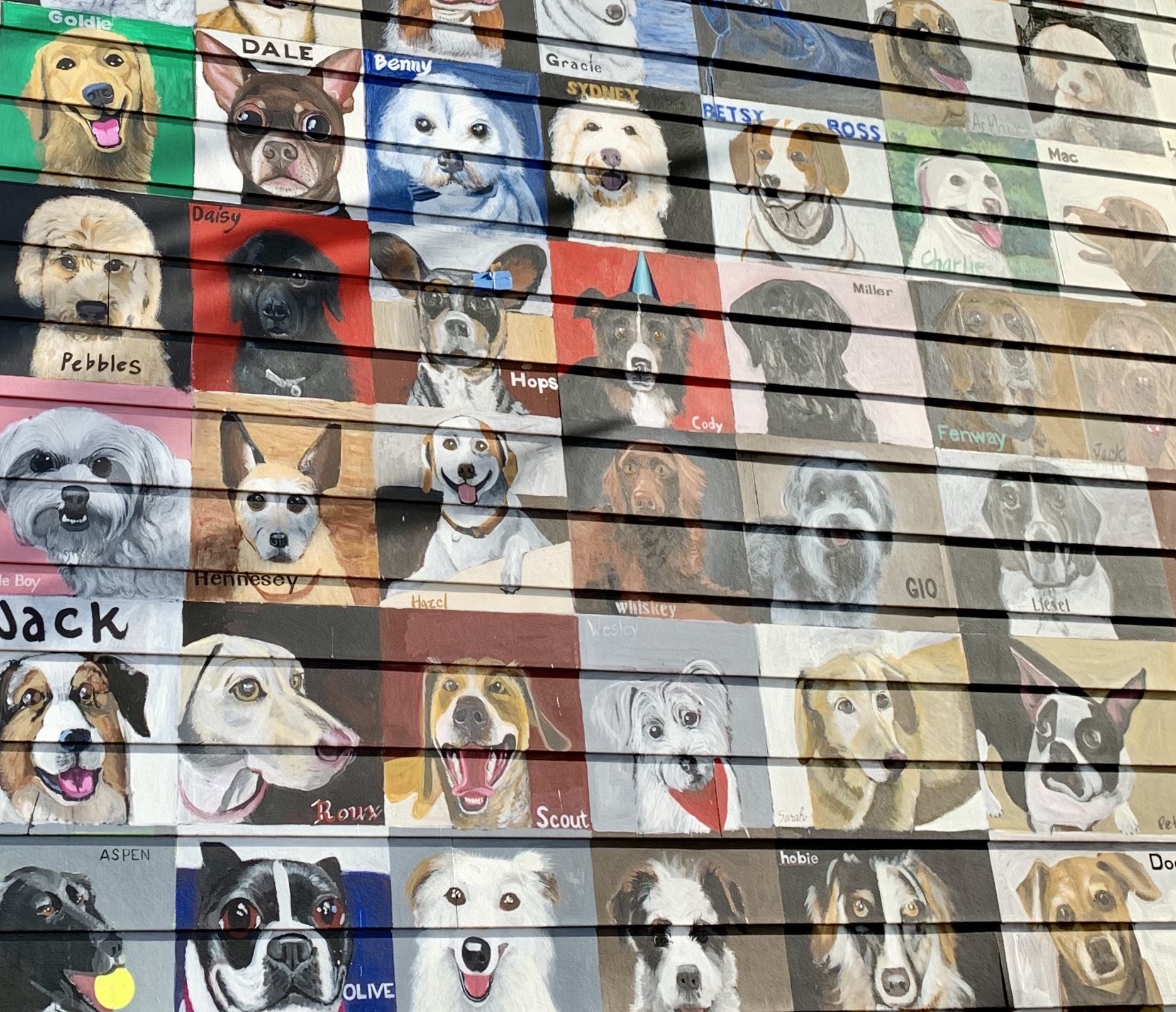 A collage of dogs portraits in the Dogs of Del Ray mural.