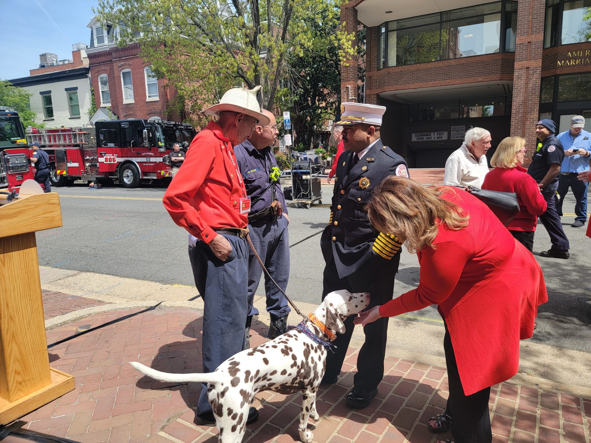 woman pets Dalmatian standing next to three men