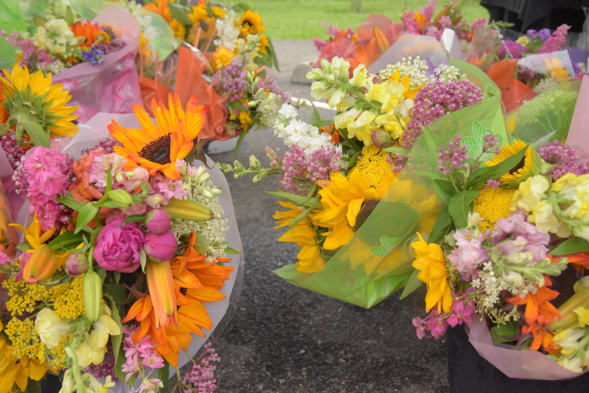 West End Farmers Market Sees Two-Thousand Visitors on First Sunday