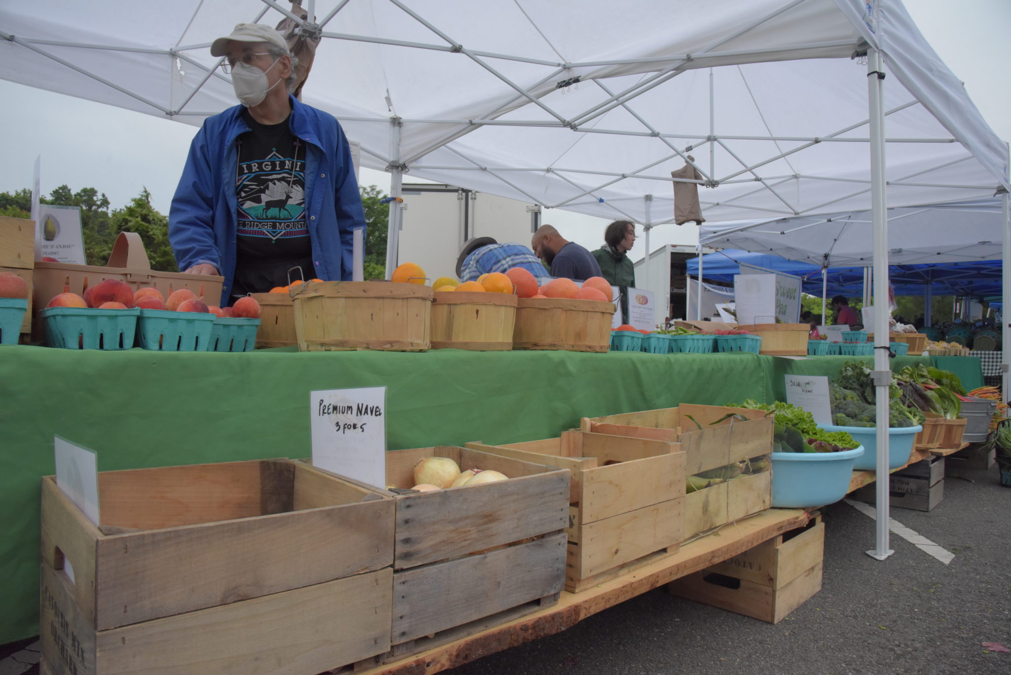 Papa's Market stand, a green table with baskets of fresh fruit 