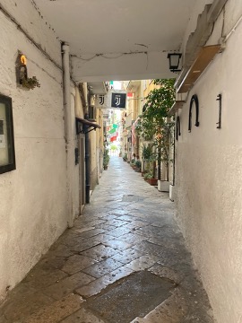 An alleyway with white walls and stone floor looking out to plants and vines