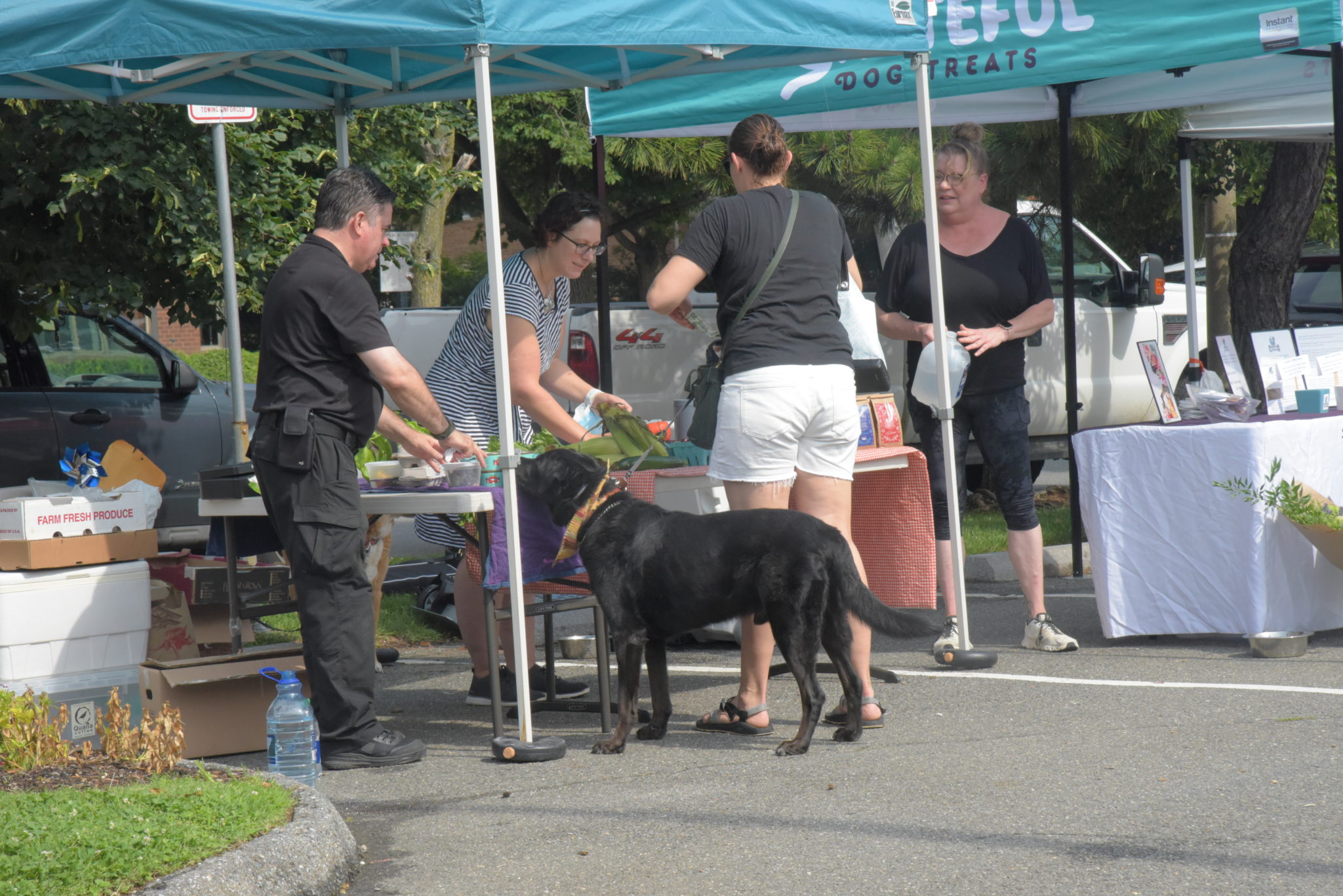 a dog sniffs an item on a table at a farmers market