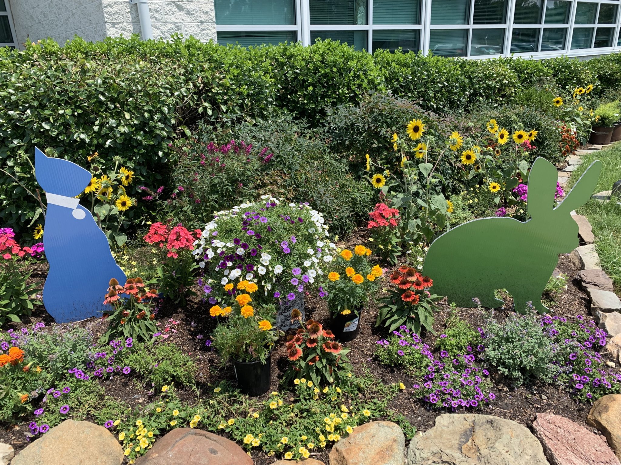 a garden full of small colorful flowers with a cardboard cut out of a dog and a cat