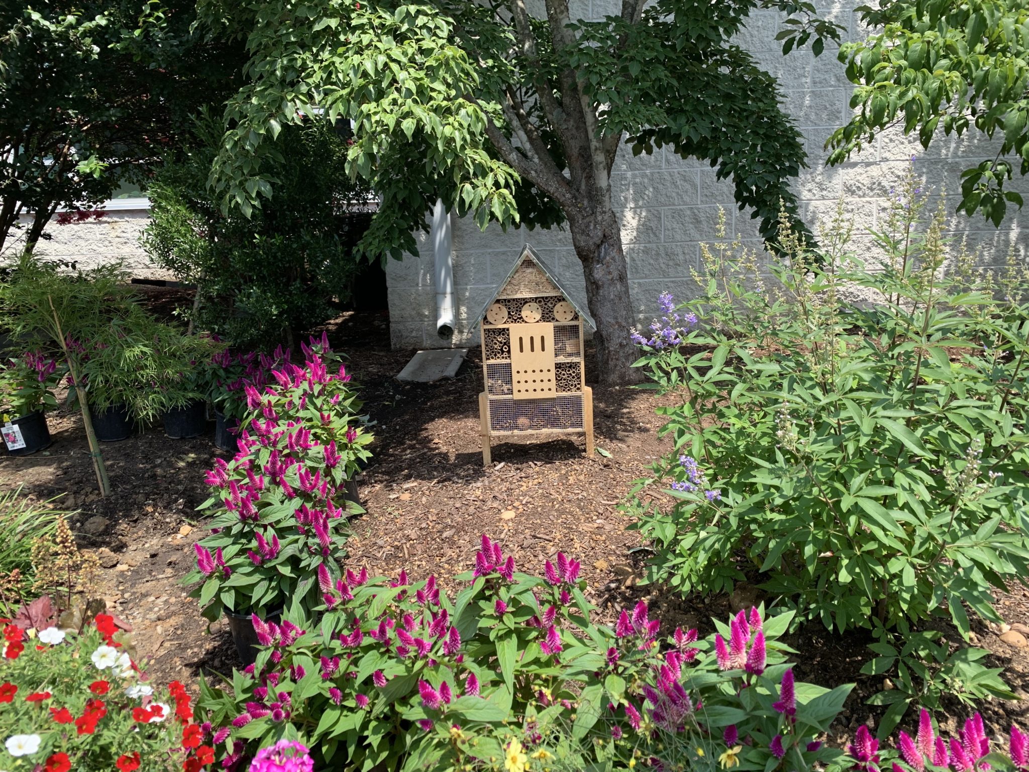 a garden with a squirrel house in the middle 