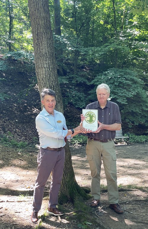 Monticello Park in North Ridge area of Alexandria is now an Old-Growth Forest 