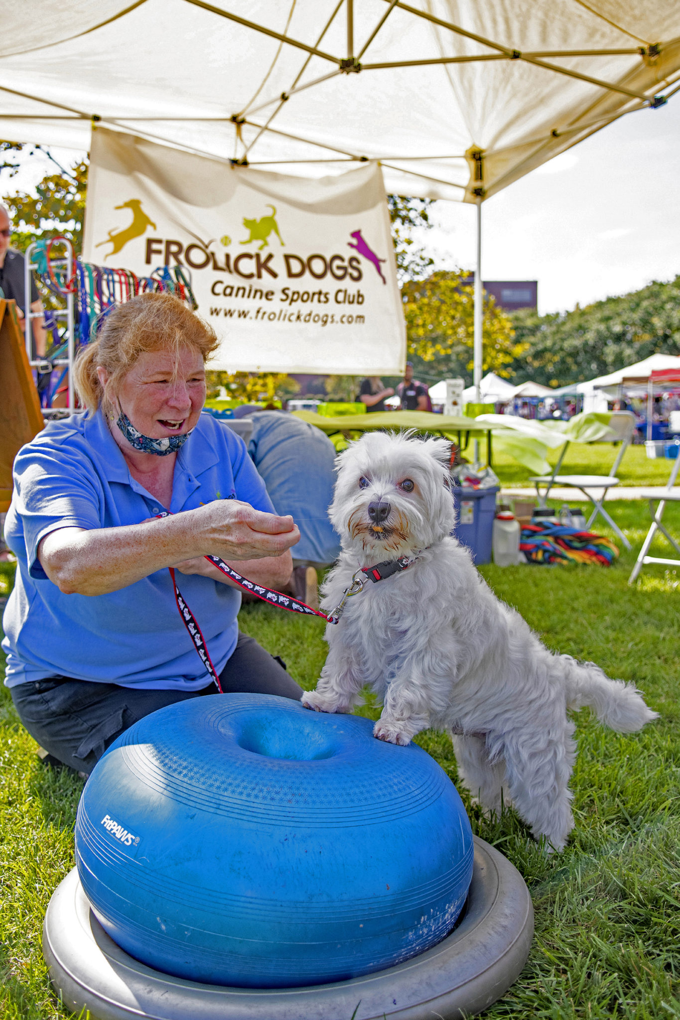 Paws in the Park Is The Biggest Nonprofit Pet Event In Our City!