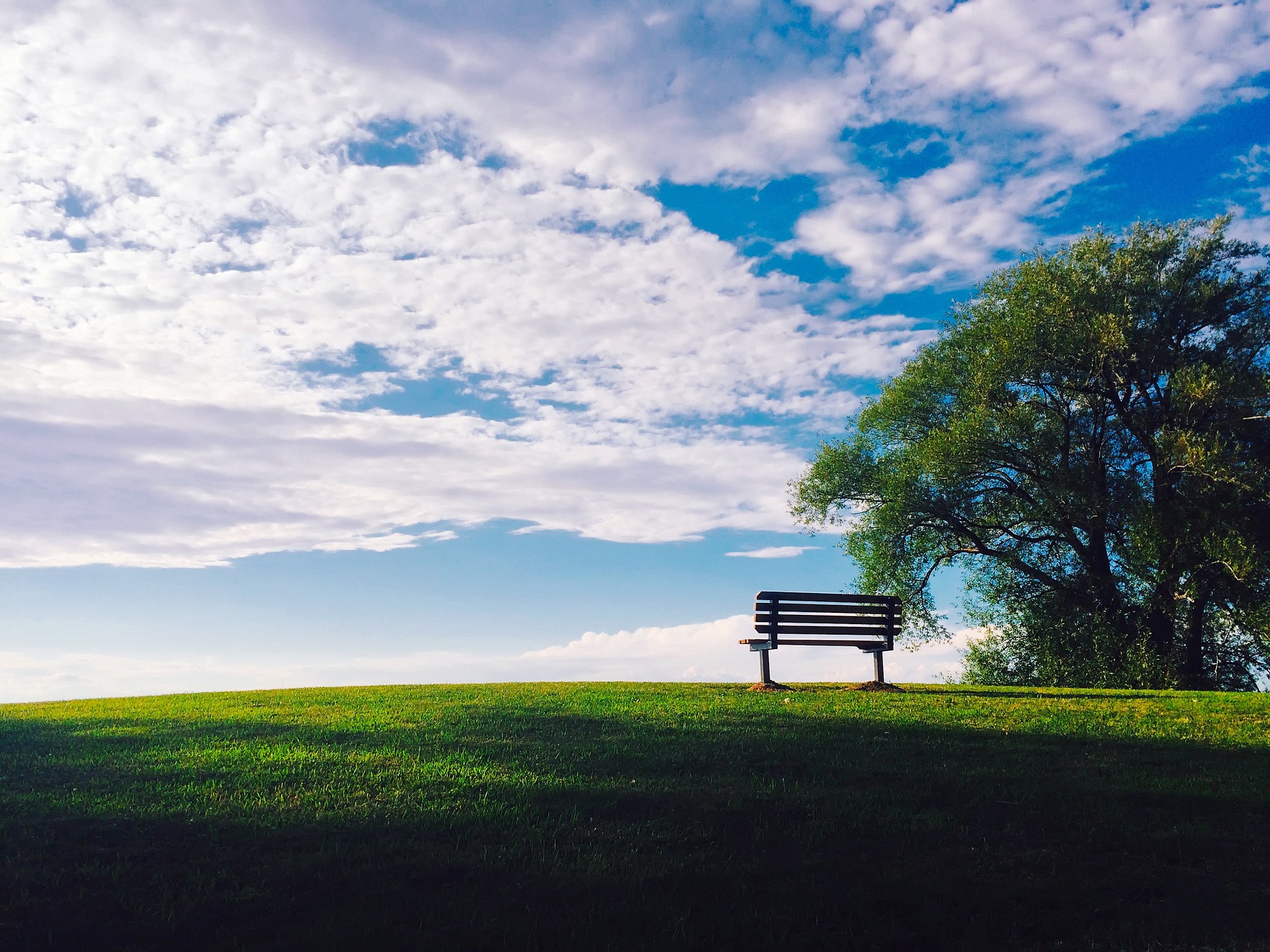 sunset in the park