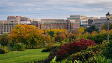 Alexandria Virginia skyline