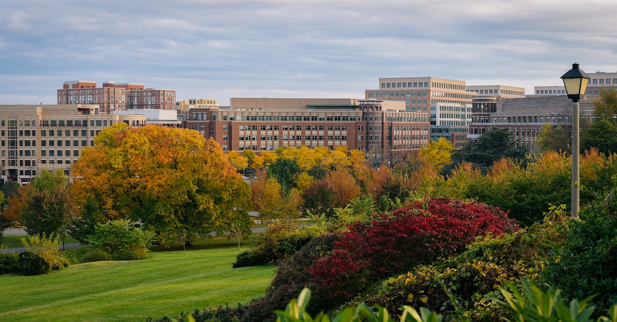 Alexandria Virginia skyline