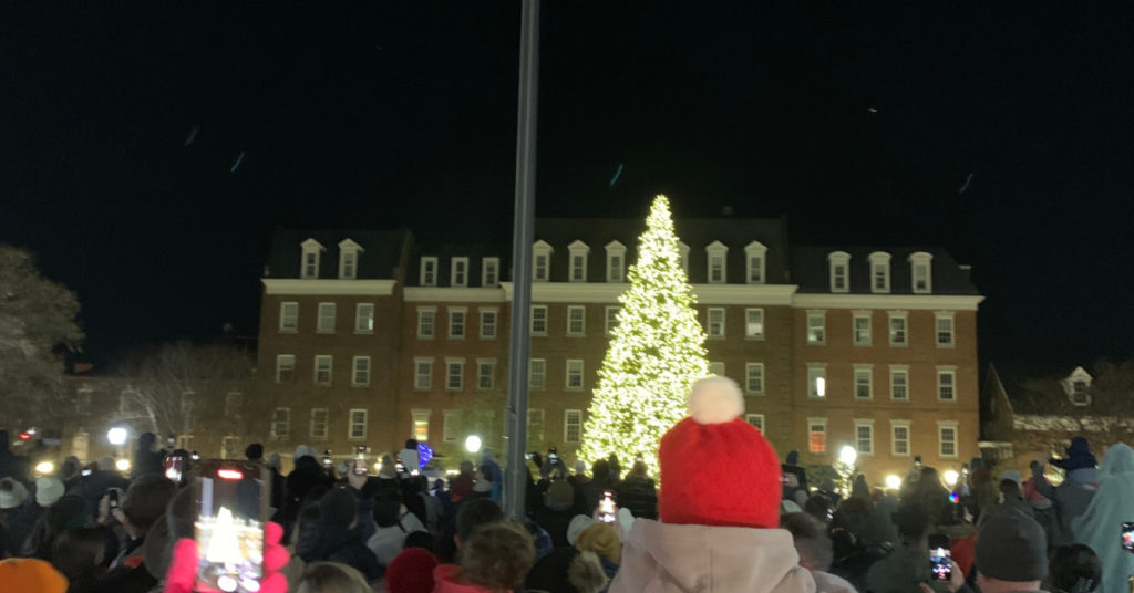 Holiday Tree lit up