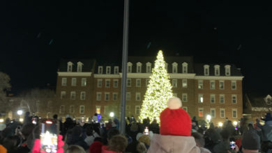 Holiday Tree lit up