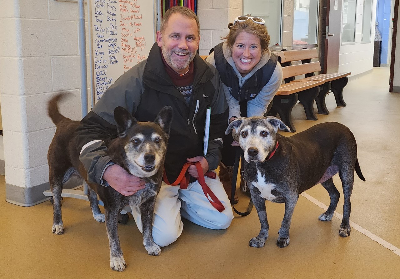 12-year old canine sisters, Joey and Sophie, find new home with Alexandria couple. (Photo Alexandria Animal Welfare League)