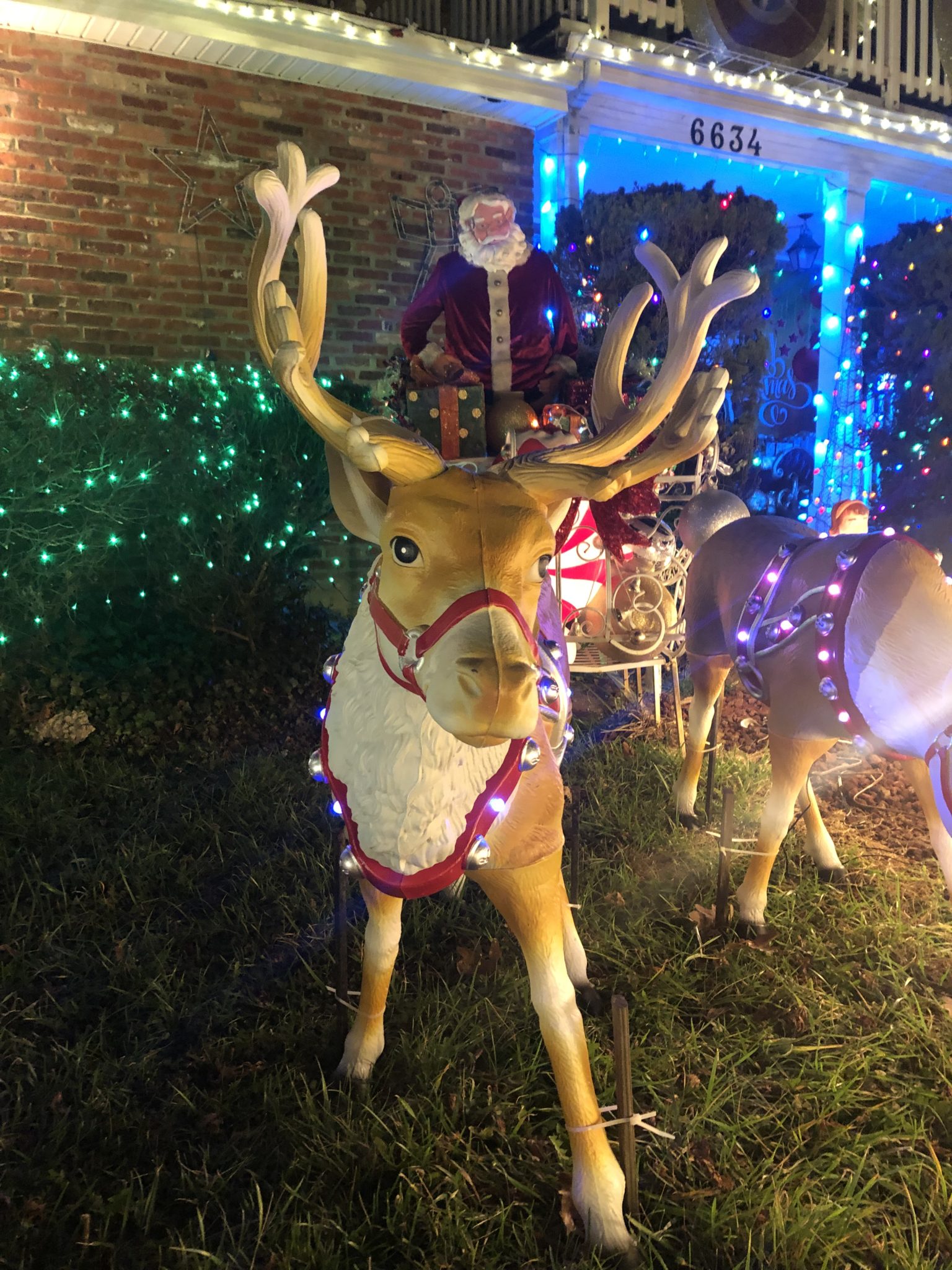 Reindeer lawn ornament