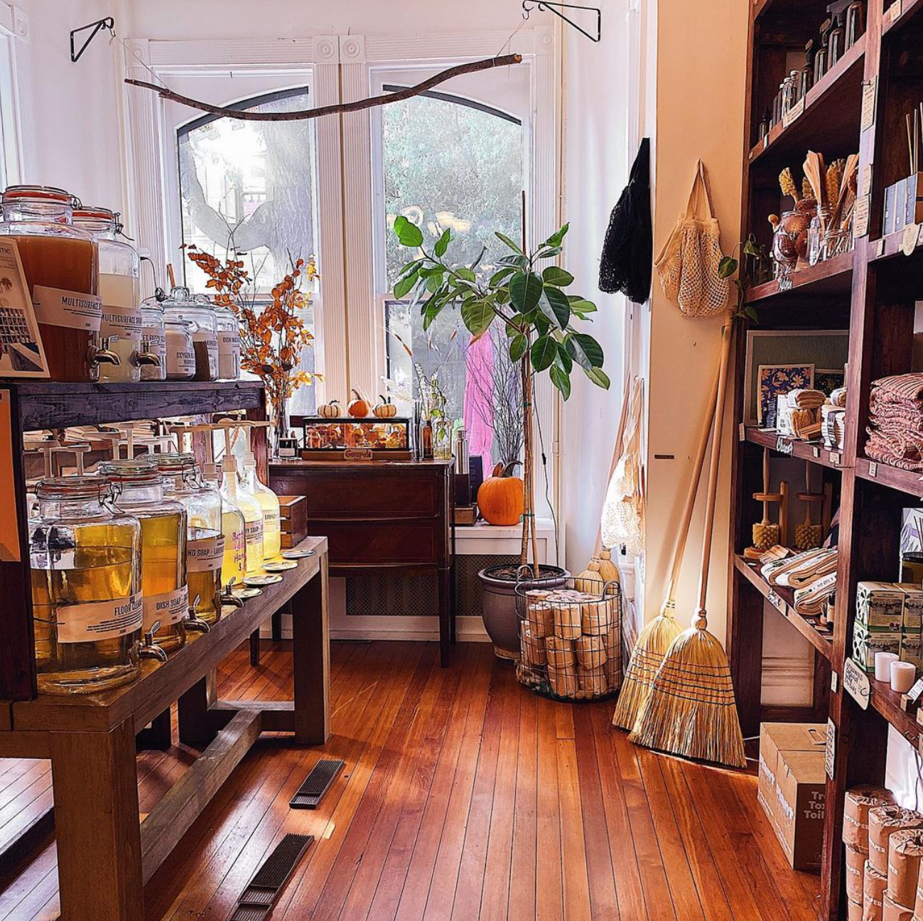 Mason & Greens at 913 King Street says, "Everything in our collection is cruelty-free and vegan, and we strive to be 100% Palm Oil-free. If at the end of its life a product can't be composted or reused, you won;t find it here." (Photo: Mason & Greens Instagram)