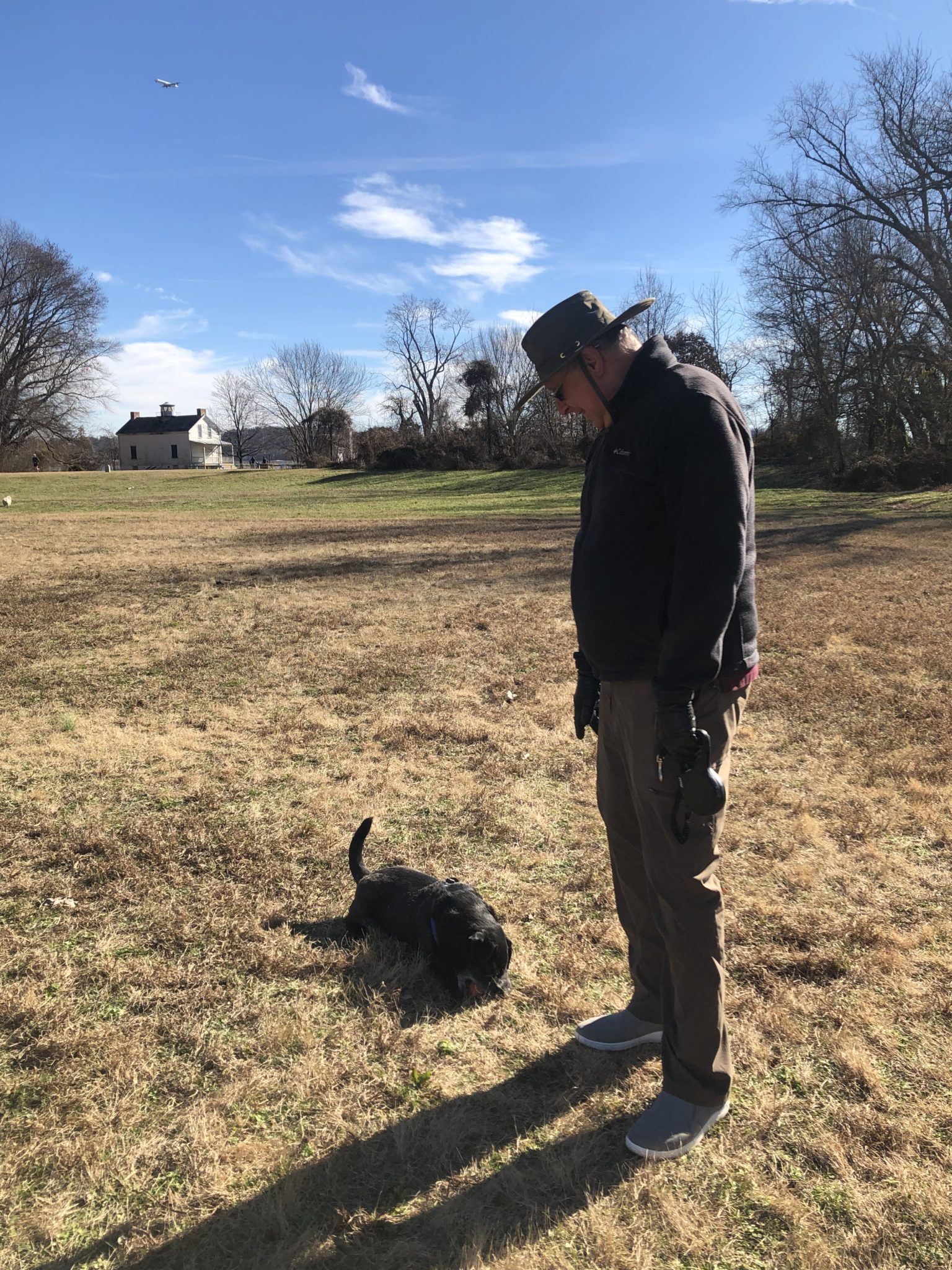 man with dog is grassy field