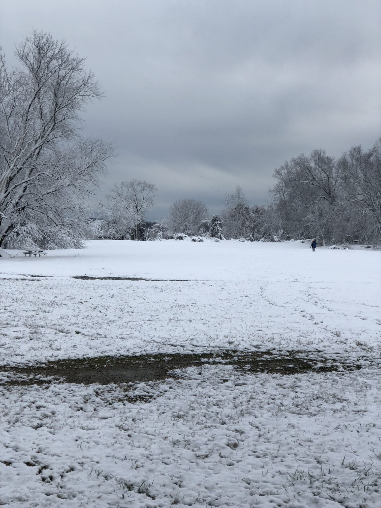 snowy fiels