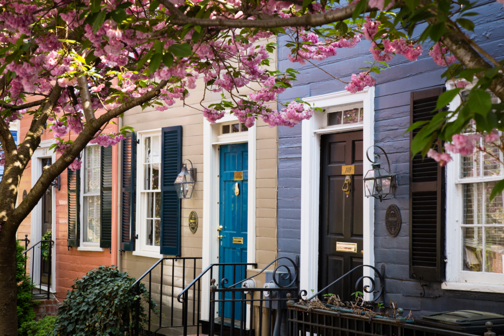 Washington's Iconic National Cherry Blossom Festivities Return, March 20 -  April 17, 2022 - The Zebra-Good News in Alexandria